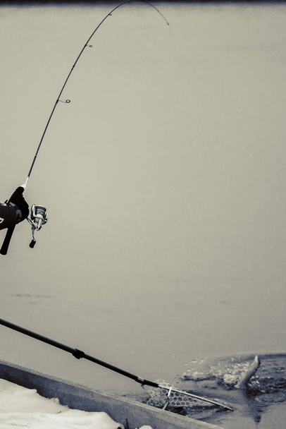 pstruh rybolov tmavé pozadí - Fotografie, Obrázek