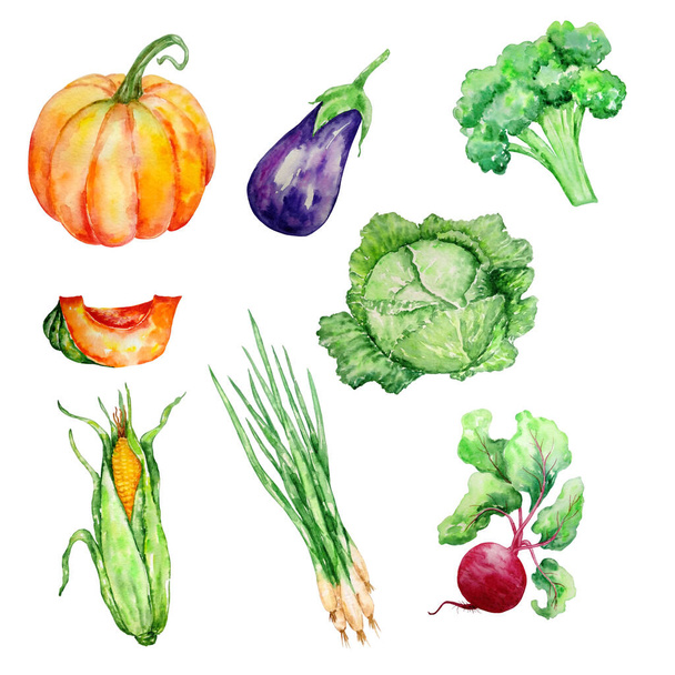 akvarell készlet zöldségek zöld piros lédús fényes fehér backgroun - Fotó, kép