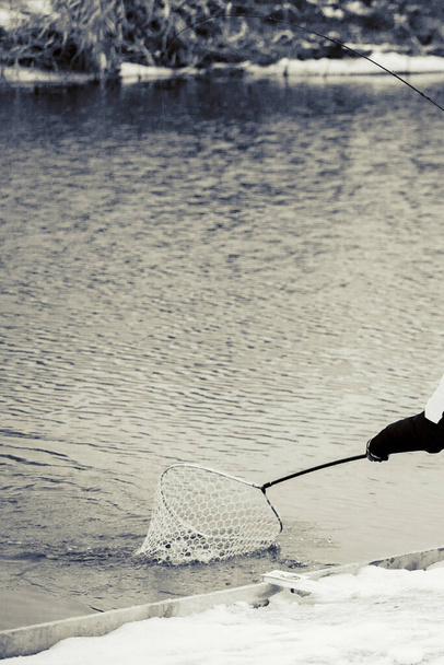 Trout fishing on the lake - Photo, Image