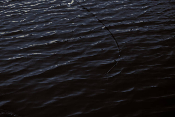 Taimenen kalastus järvellä - Valokuva, kuva