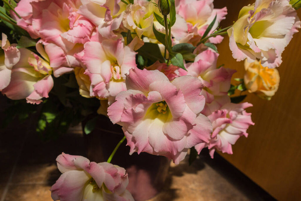 Ροζ άνθη ευστώματος. Αυτά τα λουλούδια είναι κοινώς γνωστά ως λουλούδια Lisianthus. - Φωτογραφία, εικόνα
