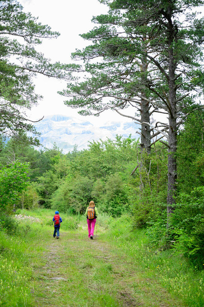 Γυναίκα και παιδί περπατούν μέσα σε ένα όμορφο δάσος στα βουνά - Φωτογραφία, εικόνα