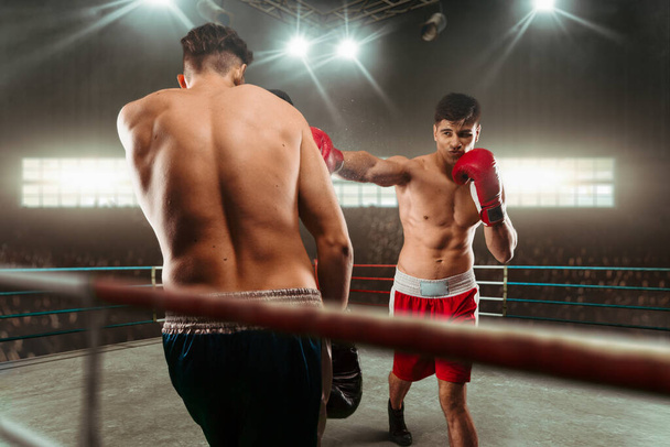 Двоє молодих чоловіків боксу
. - Фото, зображення