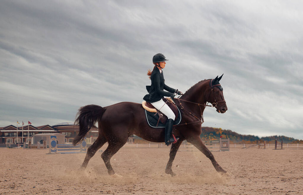 Deporte ecuestre. Mujer montando caballo
. - Foto, imagen