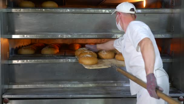 シェフはオーブンから焼きたてのパン屋の製品を削除します。パン屋さんのオーブンから焼きパンを取り出します。. - 映像、動画