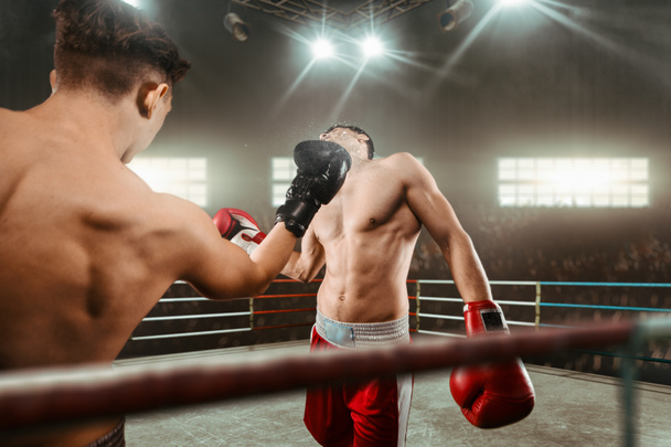 Deux jeunes hommes boxe. - Photo, image
