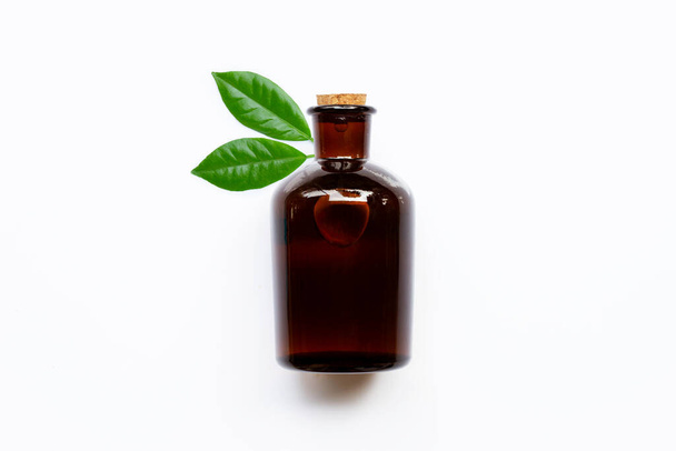 Bottiglia di olio essenziale con foglie verdi su sfondo bianco. Copia spazio
 - Foto, immagini
