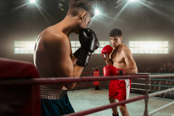 Deux jeunes hommes boxe. - Photo, image