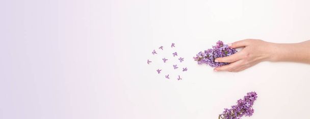 Concept van handverzorging, anti-rimpel, anti-aging crème, Spa. Mooie vrouwen handen met lila bloemen op een witte achtergrond, bovenaanzicht, banner. - Foto, afbeelding