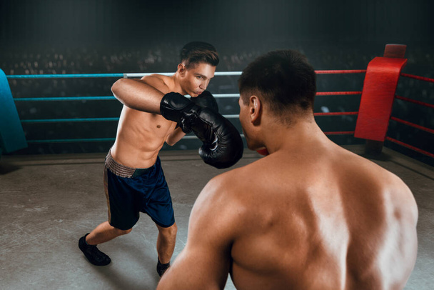 Two young men boxing. - 写真・画像