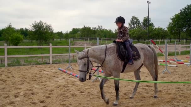 niña aprende a montar a caballo en el paddock
 - Imágenes, Vídeo