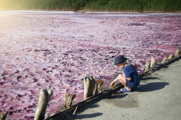 Vue du lac Lémurien rose sur la flèche Arabat en Ukraine. Étang unique avec algues Dunaliella Salina, cristaux de sel et boue curative. Analogique Mer Morte - Photo, image