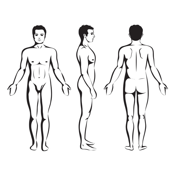tělo člověka - Vektor, obrázek
