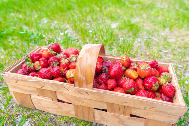 Fresas frescas en una caja de madera. Sobre un fondo de madera. Vista superior
 - Foto, imagen