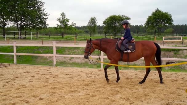menina aprende cavalo montando no paddock
 - Filmagem, Vídeo