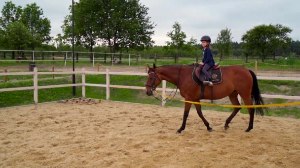 holčička se učí jezdit na koni na ohradě - Záběry, video