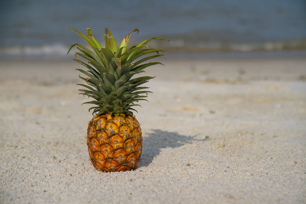 pineapple on the beach. tropical summer concept - Foto, imagen