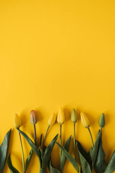 Yellow tulip flowers on yellow background. Flat lay, top view floral festive holiday concept - Fotoğraf, Görsel