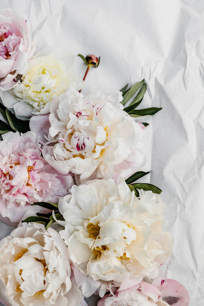 Beautiful pink and white peony flowers background. - Photo, Image