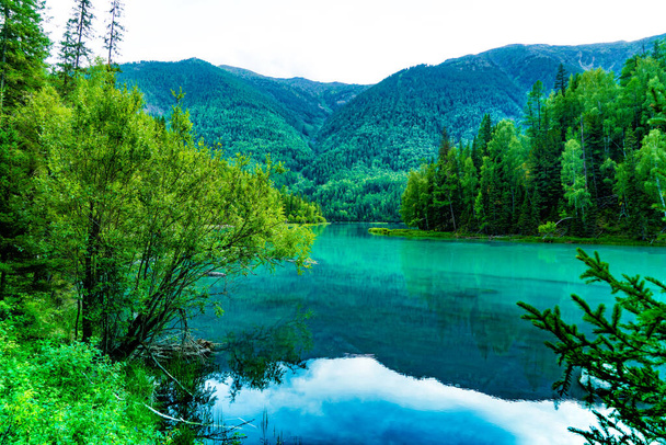 Καλοκαίρι στη λίμνη Kanas, Altay, Xinjiang, Κίνα.Όμορφη και ήσυχη το καλοκαίρι στη λίμνη Kanas, Xinjiang, Κίνα - Φωτογραφία, εικόνα