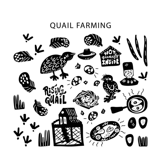Quail farming concetto moderno di design piatto per merch, banner e confezione. Illustrazione vettoriale disegnata a mano. Set di alimenti
 - Vettoriali, immagini