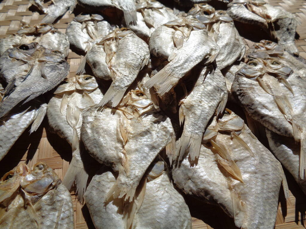 Természetes hátterű sózott halszárítási eljárás. Nyers hal. Indonéz (jávai) neve ikan balur. Ez egy hagyományos híres mellékétel Indonéziában. - Fotó, kép