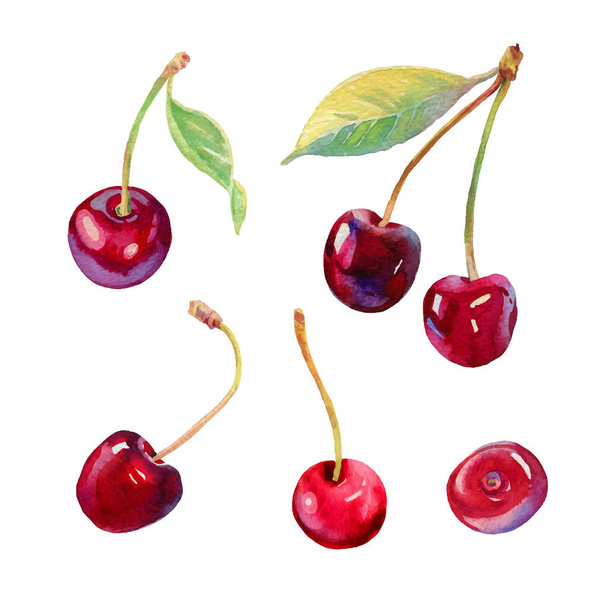 Vektor akvarell cseresznye illusztráció. Kézzel rajzolt cseresznye készlet. Friss édes és ízletes cseresznye. Fényes és friss illusztráció. Akvarell botanikus festmény. Gyönyörű ízletes bogyók elszigetelt fehér - Vektor, kép