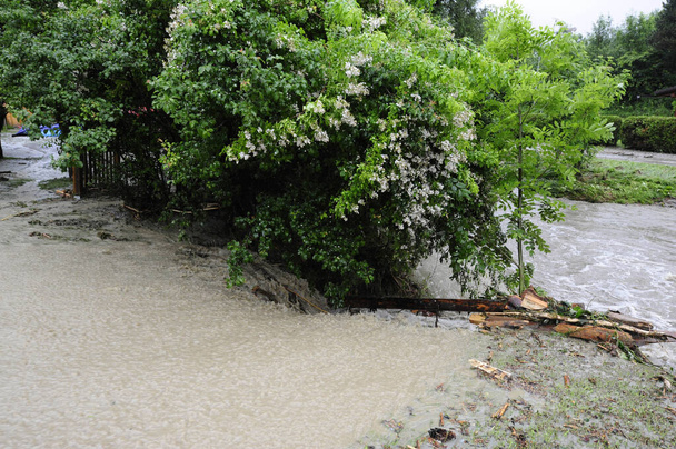um rio durante uma inundação, um fenômeno destrutivo na natureza
 - Foto, Imagem