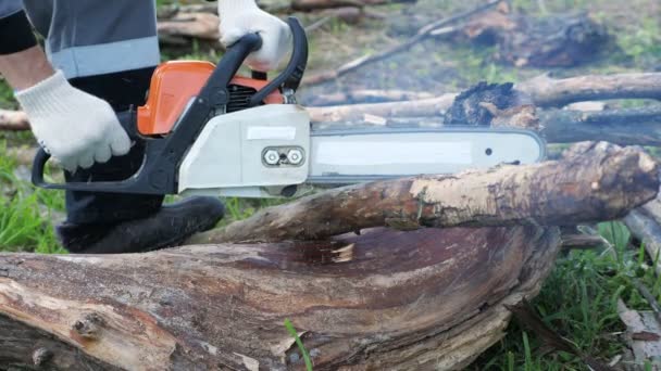 Homem irreconhecível motosserra corta árvores secas - Filmagem, Vídeo