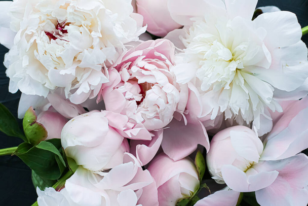Blooming peony flowers as floral art background, botanical flatlay and luxury branding - Fotoğraf, Görsel