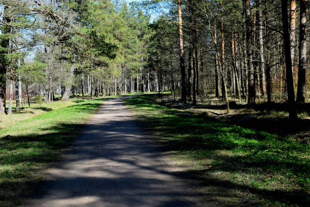 park, a place of recreation and outdoor walks - Fotografie, Obrázek