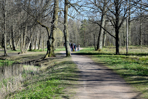 park, a place for recreation and walking - Valokuva, kuva