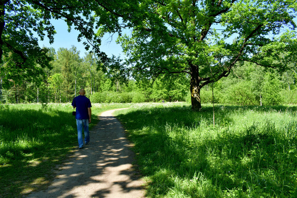 walking in a summer Park, active recreation - Фото, зображення