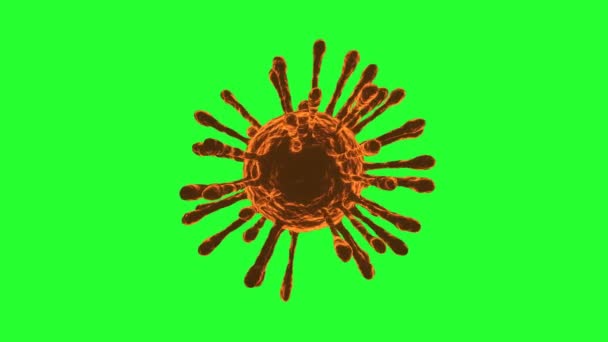 COVID-19 Coronavirus Cellule Orange tournant. Boucle sans couture. Écran vert.4K UHD. Rendu 3d.  - Séquence, vidéo