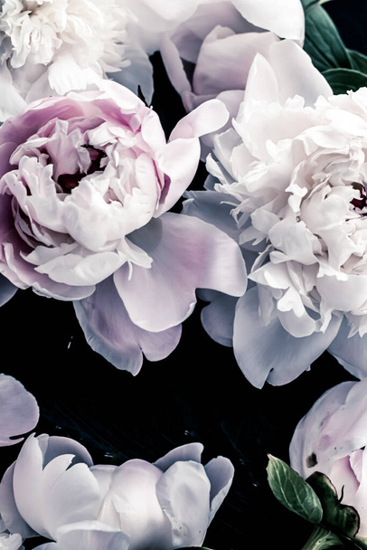 Pastel peony flowers as floral art background, botanical flatlay and luxury branding - Fotoğraf, Görsel