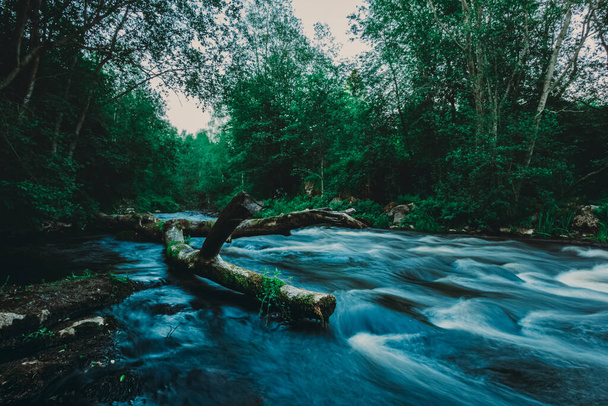 Yaz ormanında akarsu akan bir nehrin akarsudaki kırık bir ağacın üzerinden geçen harika bir fotoğrafı. - Fotoğraf, Görsel