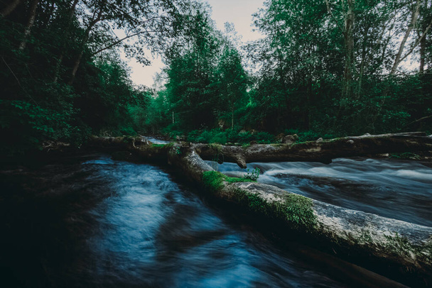 Μεγάλη φωτογραφία ενός ποταμού με τρεχούμενο νερό μέσα από ένα πεσμένο σπασμένο δέντρο πάνω από το ρέμα στο δάσος του καλοκαιριού - Φωτογραφία, εικόνα