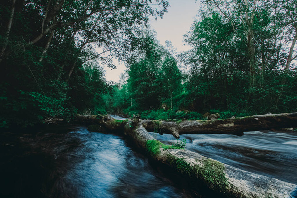 Wspaniałe zdjęcie rzeki z bieżącą wodą przez upadłe rozbite drzewo nad strumieniem w letnim lesie - Zdjęcie, obraz