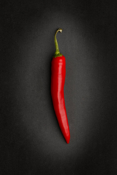 Un unico peperoncino rosso su fondo scuro, un ingrediente piccante ideale in piatti caldi e gustosi
. - Foto, immagini