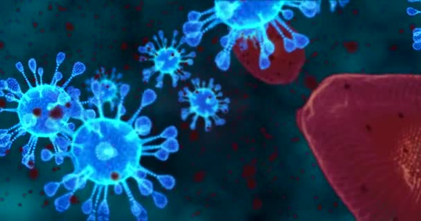 Κύτταρα του Coronavirus. Ομάδα κινουμένων σχεδίων ιών που προκαλούν αναπνευστικές λοιμώξεις στο μικροσκόπιο. 3D rendering βρόχο βίντεο 4k - Πλάνα, βίντεο