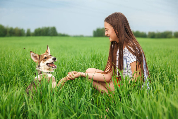 Koira antaa käpälän tytölle. Lapsi koiran kanssa luonnossa - Valokuva, kuva
