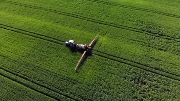 Antenni näkymä traktorin suihkeita lannoite vehnäpellolla - Materiaali, video