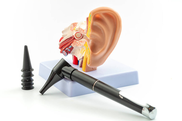 ENT vagy otolaryngology kinevezés, süketség megelőzése és hallás szerv egészségügyi koncepció anatómiai fül modell és orvostechnikai eszköz ellenőrzésére használt fül (otoszkóp) izolált fehér alapon - Fotó, kép