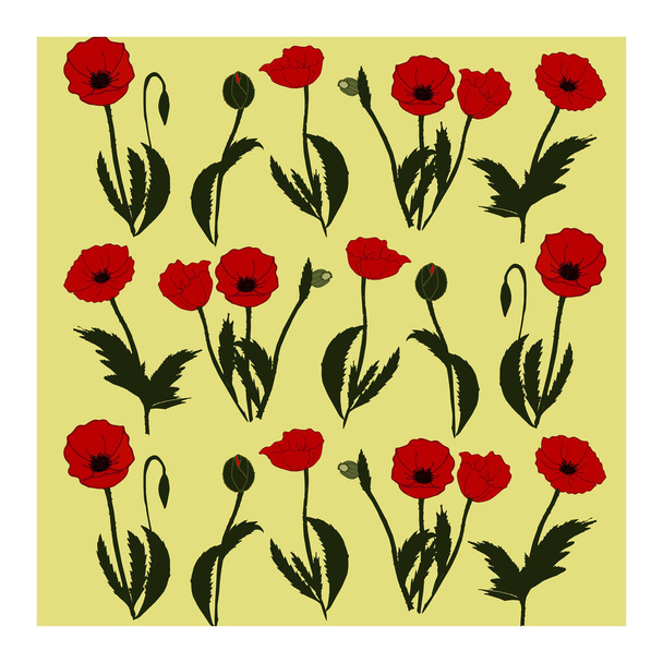Seamless pattern with drawn flowers, buds, leaves of red poppy.  - Vector, Image
