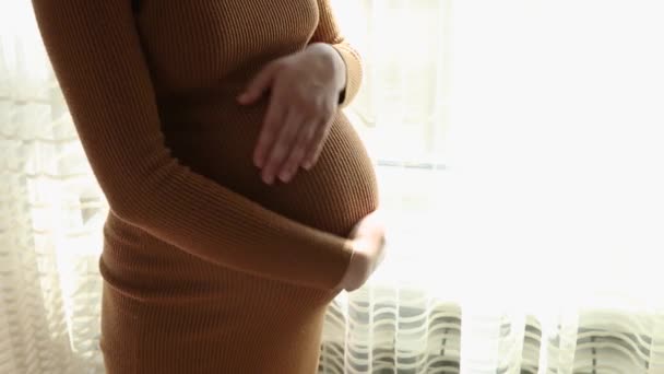 Primer plano de la mujer embarazada de pie acariciando su estómago
 - Imágenes, Vídeo