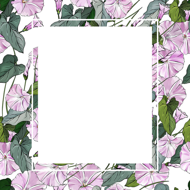 Marco cuadrado floral con flores bindweed y hojas verdes sobre fondo blanco. Adecuado para su diseño, tarjetas, invitaciones, regalos
. - Vector, imagen