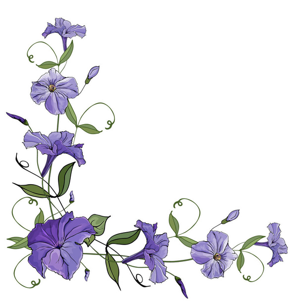 白い背景に紫色の花ペチュニアと花のフレーム。手描き。コピースペース。グリーティングカード、結婚式の招待状、バナーのデザイン。ベクターストックイラスト. - ベクター画像
