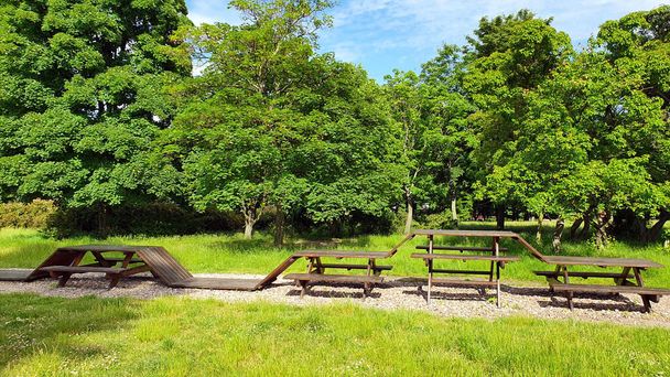 Wooden structure of tables and benches in the park - Foto, Bild
