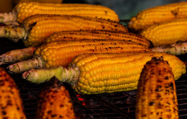 Grilled corn - Photo, Image