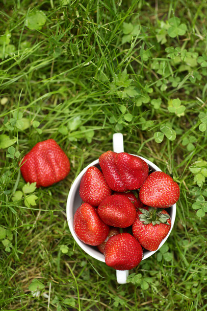 desayuno saludable - fresas en un tazón cerca de la foto vertical con espacio de copia en el fondo de hierba verde
 - Foto, imagen